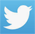 Twitter Logo